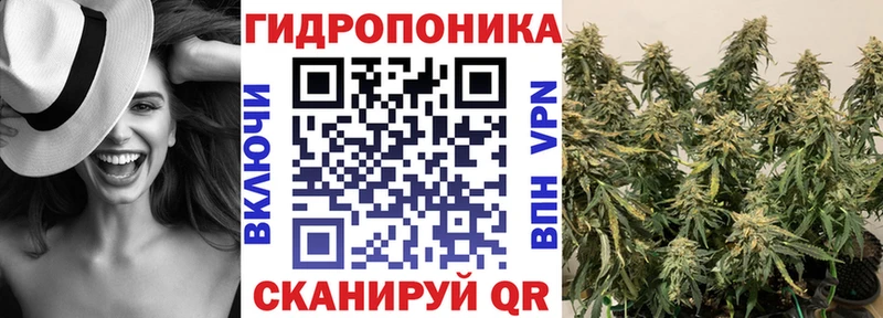 Канабис гибрид  Минусинск 